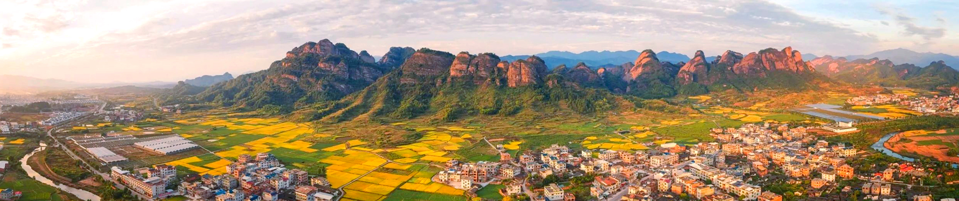 معلومات عنا