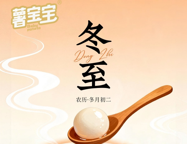 المصطلحات الشمسية الصينية رقم 24 - الانقلاب الشتوي